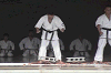 ise6 (111)_samu.gif